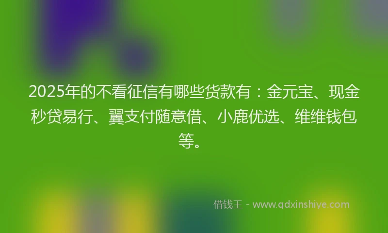 2025年的不看征信有哪些货款有：金元宝、现金秒贷易行、翼支付随意借、小鹿优选、维维钱包等。
