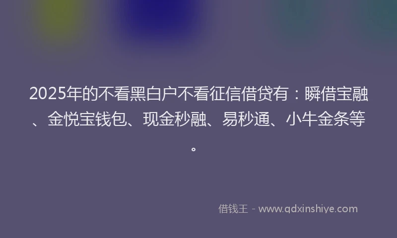 2025年的不看黑白户不看征信借贷有：瞬借宝融、金悦宝钱包、现金秒融、易秒通、小牛金条等。