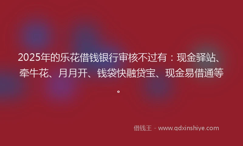 2025年的乐花借钱银行审核不过有：现金驿站、牵牛花、月月开、钱袋快融贷宝、现金易借通等。