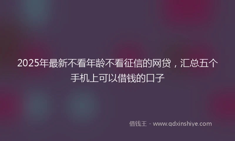 2025年最新不看年龄不看征信的网贷，汇总五个手机上可以借钱的口子
