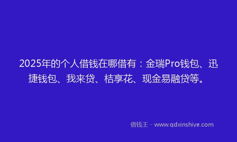 2025年的个人借钱在哪借有：金瑞Pro钱包、迅捷钱包、我来贷、桔享花、现金易融贷等。