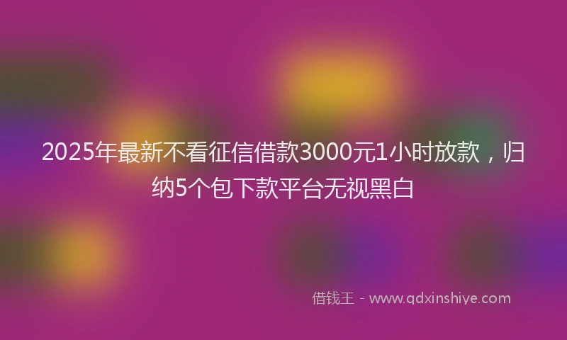 2025年最新不看征信借款3000元1小时放款，归纳5个包下款平台无视黑白