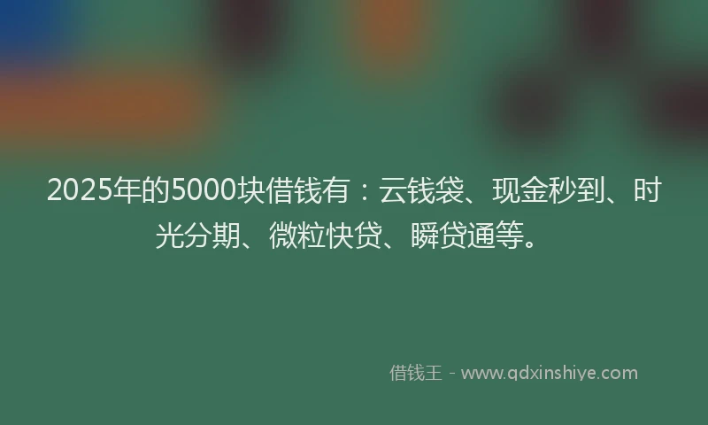 2025年的5000块借钱有：云钱袋、现金秒到、时光分期、微粒快贷、瞬贷通等。