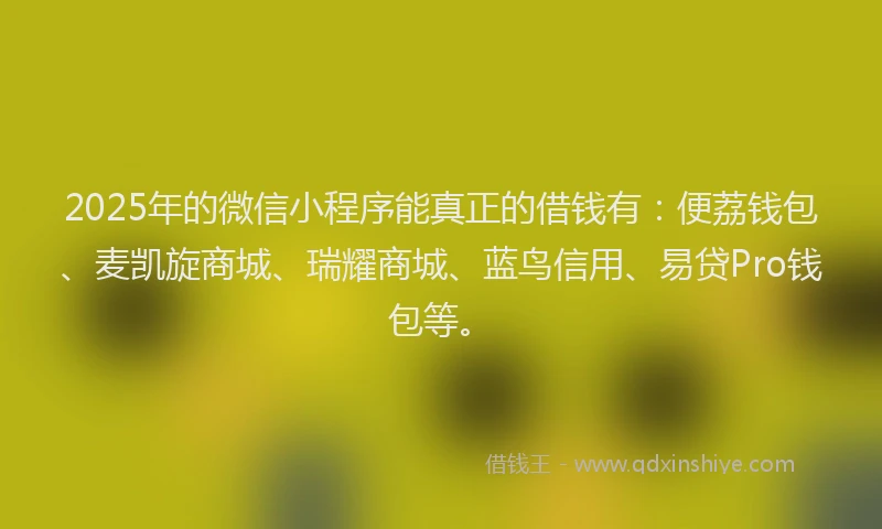2025年的微信小程序能真正的借钱有：便荔钱包、麦凯旋商城、瑞耀商城、蓝鸟信用、易贷Pro钱包等。