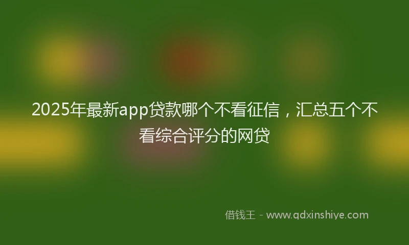 2025年最新app贷款哪个不看征信，汇总五个不看综合评分的网贷