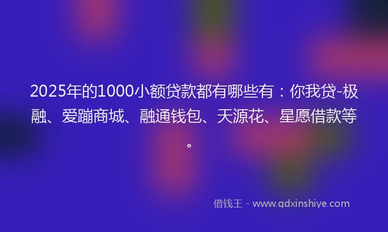 2025年的1000小额贷款都有哪些有：你我贷-极融、爱蹦商城、融通钱包、天源花、星愿借款等。