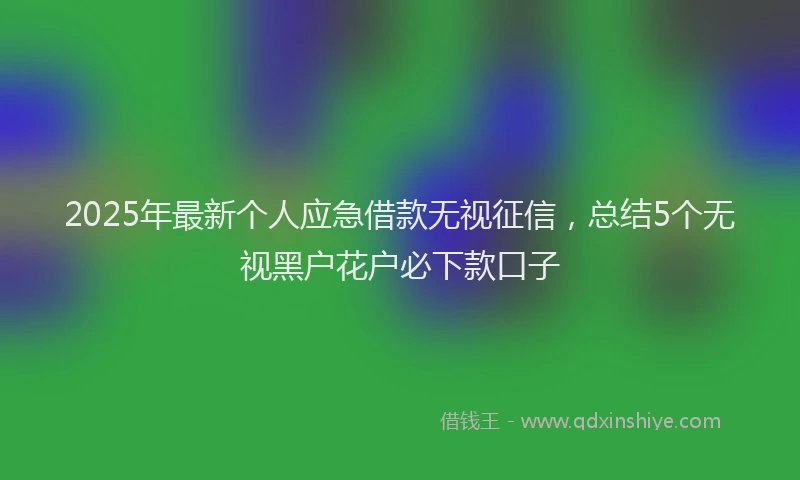 2025年最新个人应急借款无视征信，总结5个无视黑户花户必下款口子