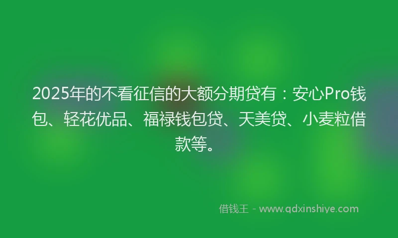 2025年的不看征信的大额分期贷有：安心Pro钱包、轻花优品、福禄钱包贷、天美贷、小麦粒借款等。