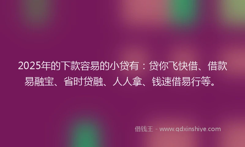2025年的下款容易的小贷有：贷你飞快借、借款易融宝、省时贷融、人人拿、钱速借易行等。