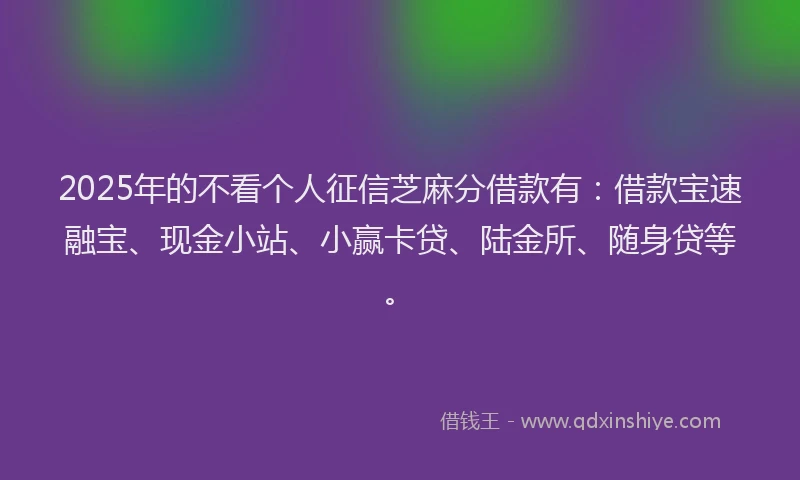 2025年的不看个人征信芝麻分借款有：借款宝速融宝、现金小站、小赢卡贷、陆金所、随身贷等。