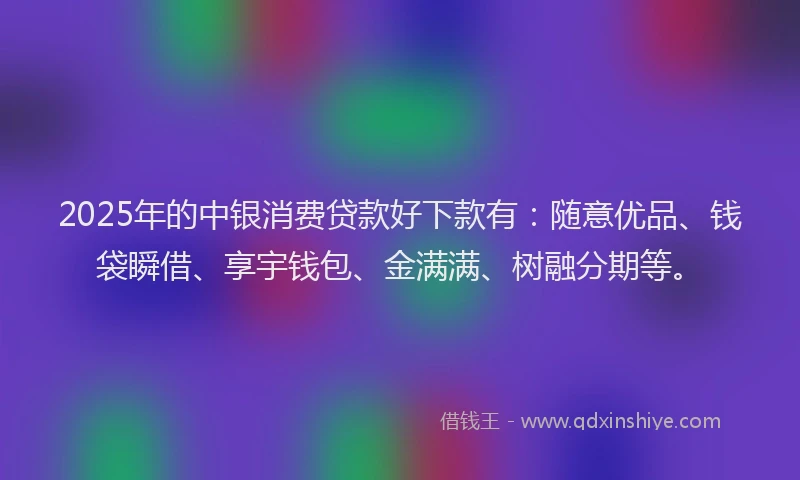 2025年的中银消费贷款好下款有：随意优品、钱袋瞬借、享宇钱包、金满满、树融分期等。