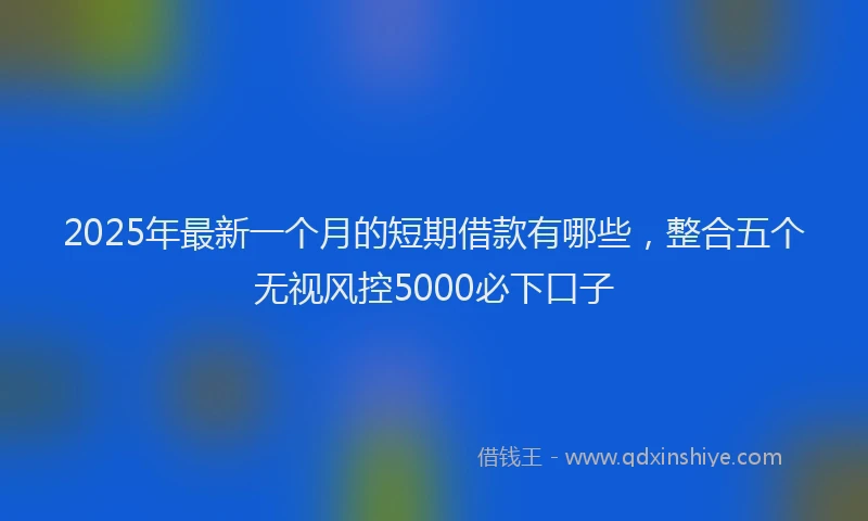 2025年最新一个月的短期借款有哪些，整合五个无视风控5000必下口子