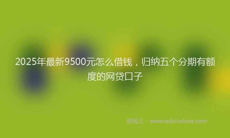 2025年最新9500元怎么借钱，归纳五个分期有额度的网贷口子