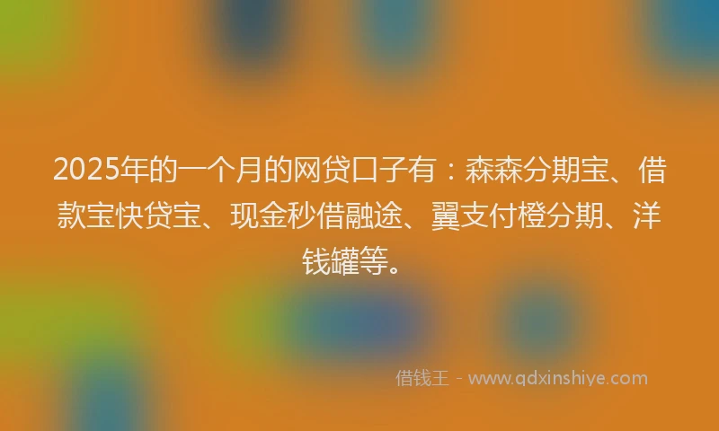 2025年的一个月的网贷口子有：森森分期宝、借款宝快贷宝、现金秒借融途、翼支付橙分期、洋钱罐等。