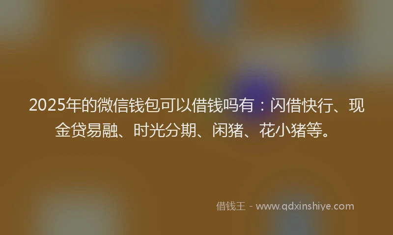2025年的微信钱包可以借钱吗有：闪借快行、现金贷易融、时光分期、闲猪、花小猪等。
