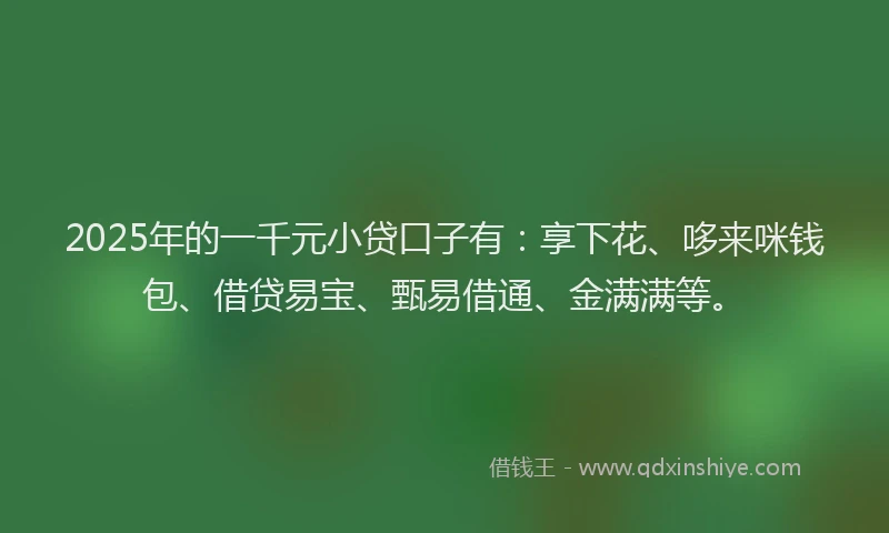 2025年的一千元小贷口子有：享下花、哆来咪钱包、借贷易宝、甄易借通、金满满等。
