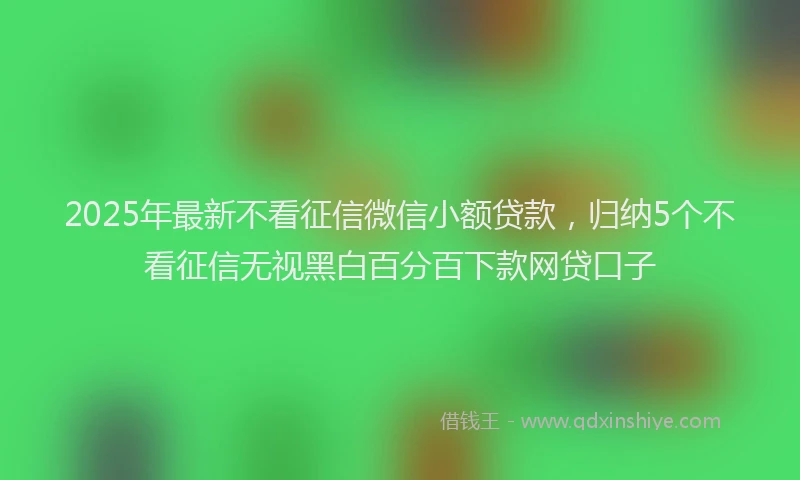 2025年最新不看征信微信小额贷款，归纳5个不看征信无视黑白百分百下款网贷口子