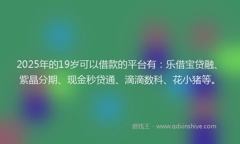 2025年的19岁可以借款的平台有：乐借宝贷融、紫晶分期、现金秒贷通、滴滴数科、花小猪等。