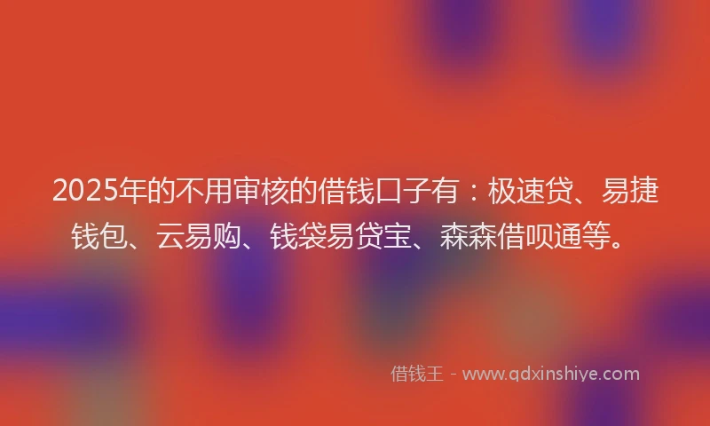 2025年的不用审核的借钱口子有：极速贷、易捷钱包、云易购、钱袋易贷宝、森森借呗通等。