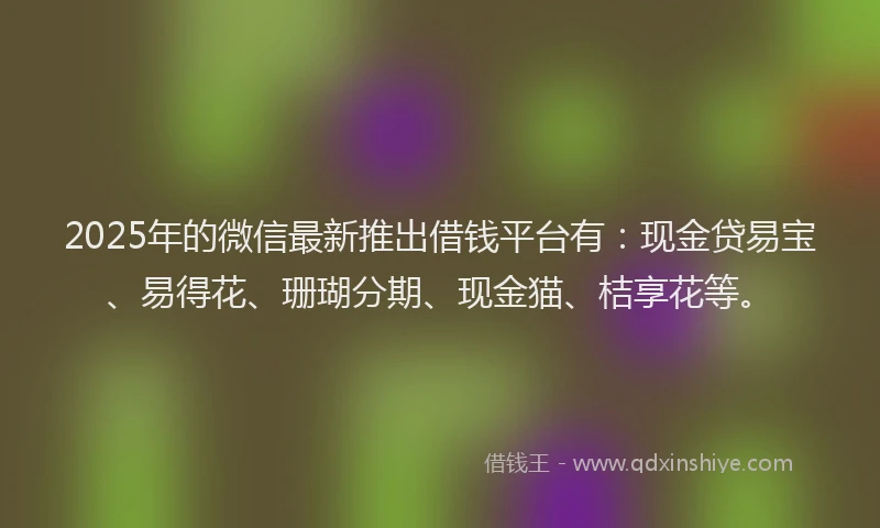 2025年的微信最新推出借钱平台有：现金贷易宝、易得花、珊瑚分期、现金猫、桔享花等。