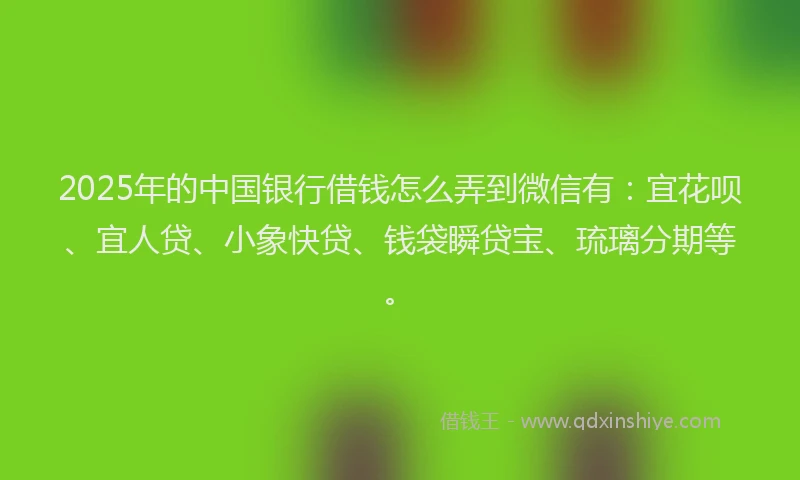 2025年的中国银行借钱怎么弄到微信有：宜花呗、宜人贷、小象快贷、钱袋瞬贷宝、琉璃分期等。
