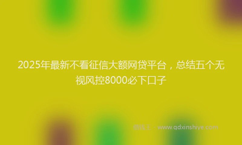 2025年最新不看征信大额网贷平台，总结五个无视风控8000必下口子