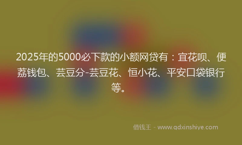 2025年的5000必下款的小额网贷有：宜花呗、便荔钱包、芸豆分-芸豆花、恒小花、平安口袋银行等。