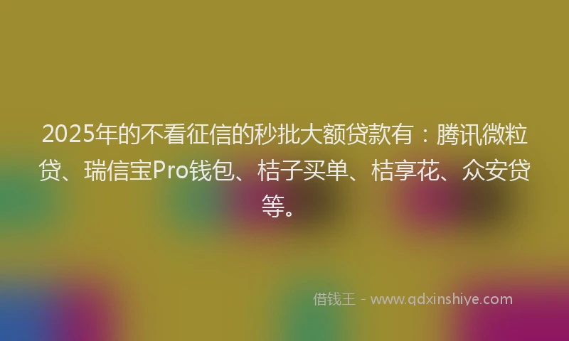 2025年的不看征信的秒批大额贷款有：腾讯微粒贷、瑞信宝Pro钱包、桔子买单、桔享花、众安贷等。
