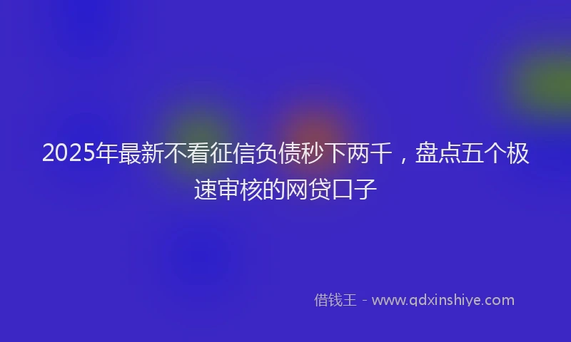 2025年最新不看征信负债秒下两千，盘点五个极速审核的网贷口子