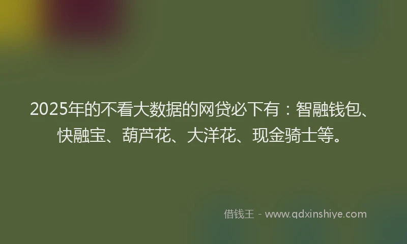 2025年的不看大数据的网贷必下有：智融钱包、快融宝、葫芦花、大洋花、现金骑士等。