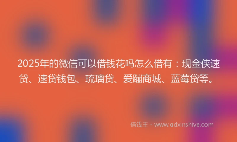 2025年的微信可以借钱花吗怎么借有：现金侠速贷、速贷钱包、琉璃贷、爱蹦商城、蓝莓贷等。