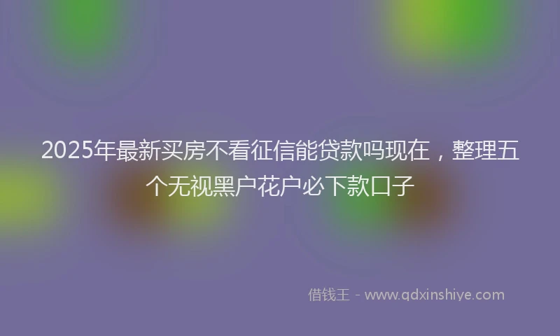 2025年最新买房不看征信能贷款吗现在，整理五个无视黑户花户必下款口子