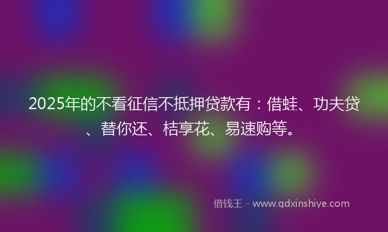 2025年的不看征信不抵押贷款有：借蛙、功夫贷、替你还、桔享花、易速购等。