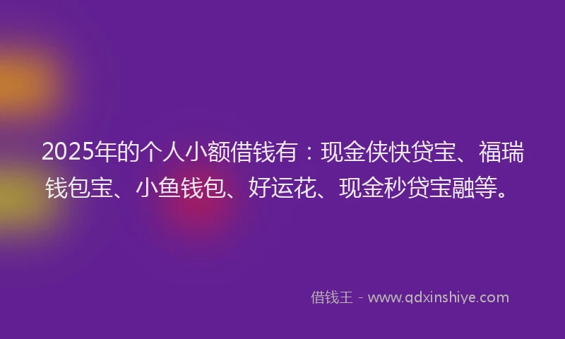 2025年的个人小额借钱有：现金侠快贷宝、福瑞钱包宝、小鱼钱包、好运花、现金秒贷宝融等。