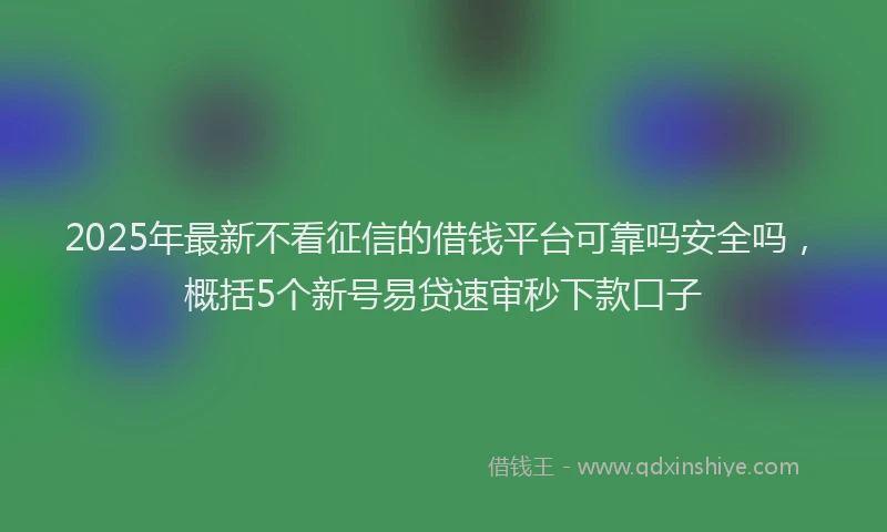 2025年最新不看征信的借钱平台可靠吗安全吗，概括5个新号易贷速审秒下款口子