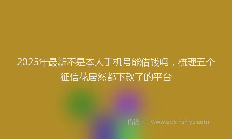 2025年最新不是本人手机号能借钱吗，梳理五个征信花居然都下款了的平台