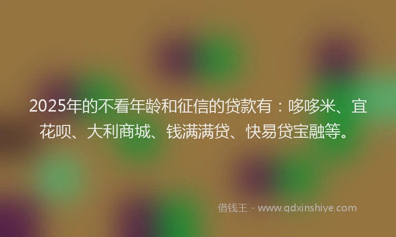 2025年的不看年龄和征信的贷款有：哆哆米、宜花呗、大利商城、钱满满贷、快易贷宝融等。