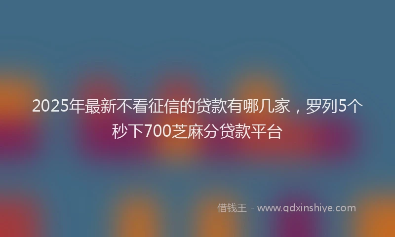 2025年最新不看征信的贷款有哪几家，罗列5个秒下700芝麻分贷款平台