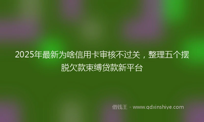 2025年最新为啥信用卡审核不过关，整理五个摆脱欠款束缚贷款新平台