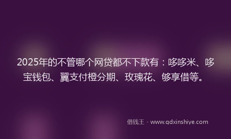 2025年的不管哪个网贷都不下款有：哆哆米、哆宝钱包、翼支付橙分期、玫瑰花、够享借等。