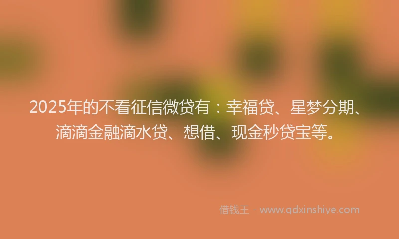 2025年的不看征信微贷有：幸福贷、星梦分期、滴滴金融滴水贷、想借、现金秒贷宝等。