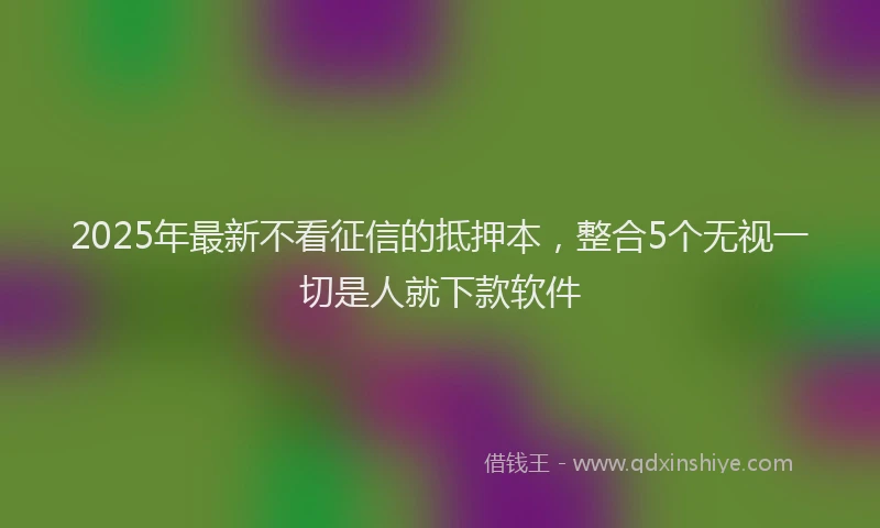 2025年最新不看征信的抵押本，整合5个无视一切是人就下款软件