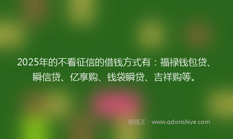 2025年的不看征信的借钱方式有：福禄钱包贷、瞬信贷、亿享购、钱袋瞬贷、吉祥购等。