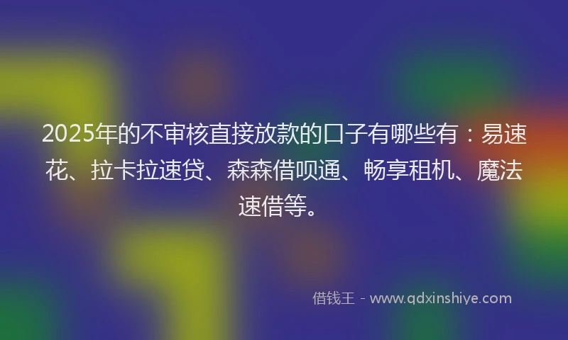 2025年的不审核直接放款的口子有哪些有：易速花、拉卡拉速贷、森森借呗通、畅享租机、魔法速借等。