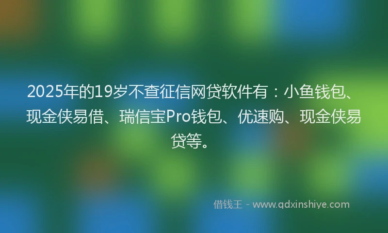 2025年的19岁不查征信网贷软件有：小鱼钱包、现金侠易借、瑞信宝Pro钱包、优速购、现金侠易贷等。