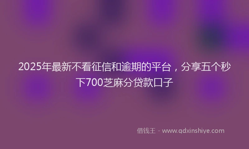 2025年最新不看征信和逾期的平台，分享五个秒下700芝麻分贷款口子