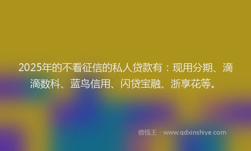 2025年的不看征信的私人贷款有：现用分期、滴滴数科、蓝鸟信用、闪贷宝融、浙享花等。