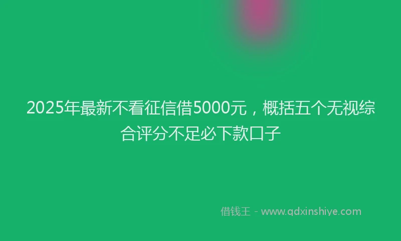 2025年最新不看征信借5000元，概括五个无视综合评分不足必下款口子