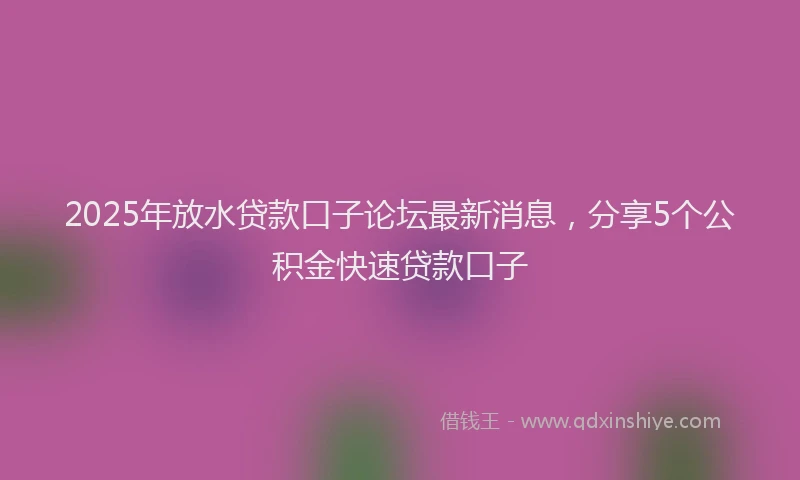 2025年放水贷款口子论坛最新消息，分享5个公积金快速贷款口子