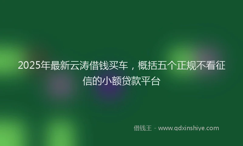 2025年最新云涛借钱买车，概括五个正规不看征信的小额贷款平台
